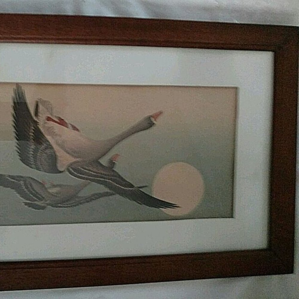 Japanese Ink Painting of Geese n Flight Antique Early 19TH Century Framed Signed - Picture 12 of 13